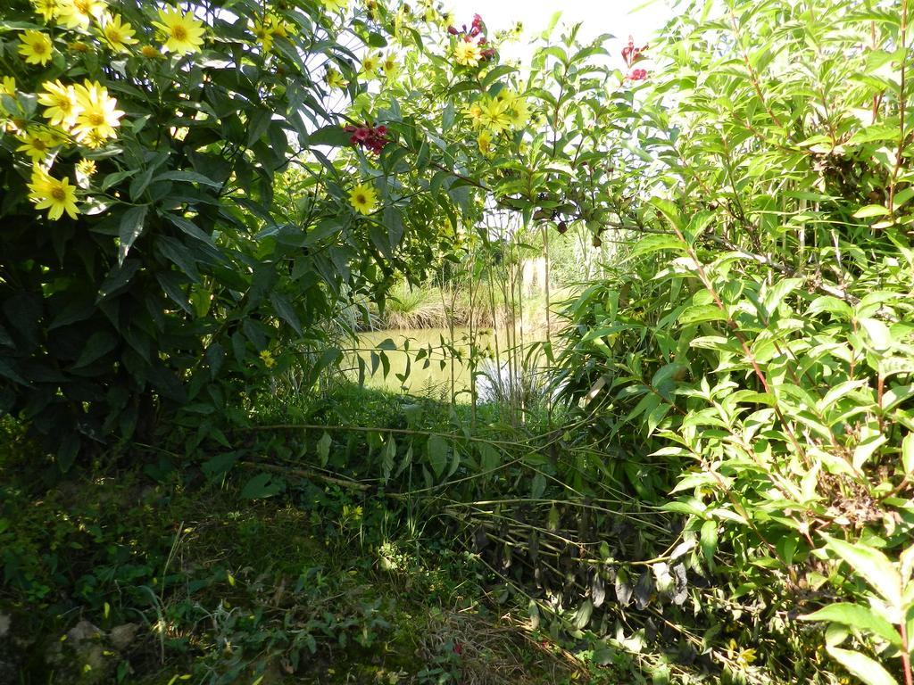 Gite La Grenouillere Esqueheries ภายนอก รูปภาพ