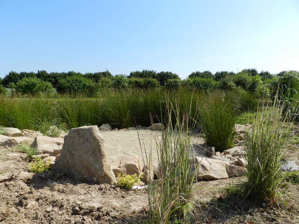 Gite La Grenouillere Esqueheries ภายนอก รูปภาพ
