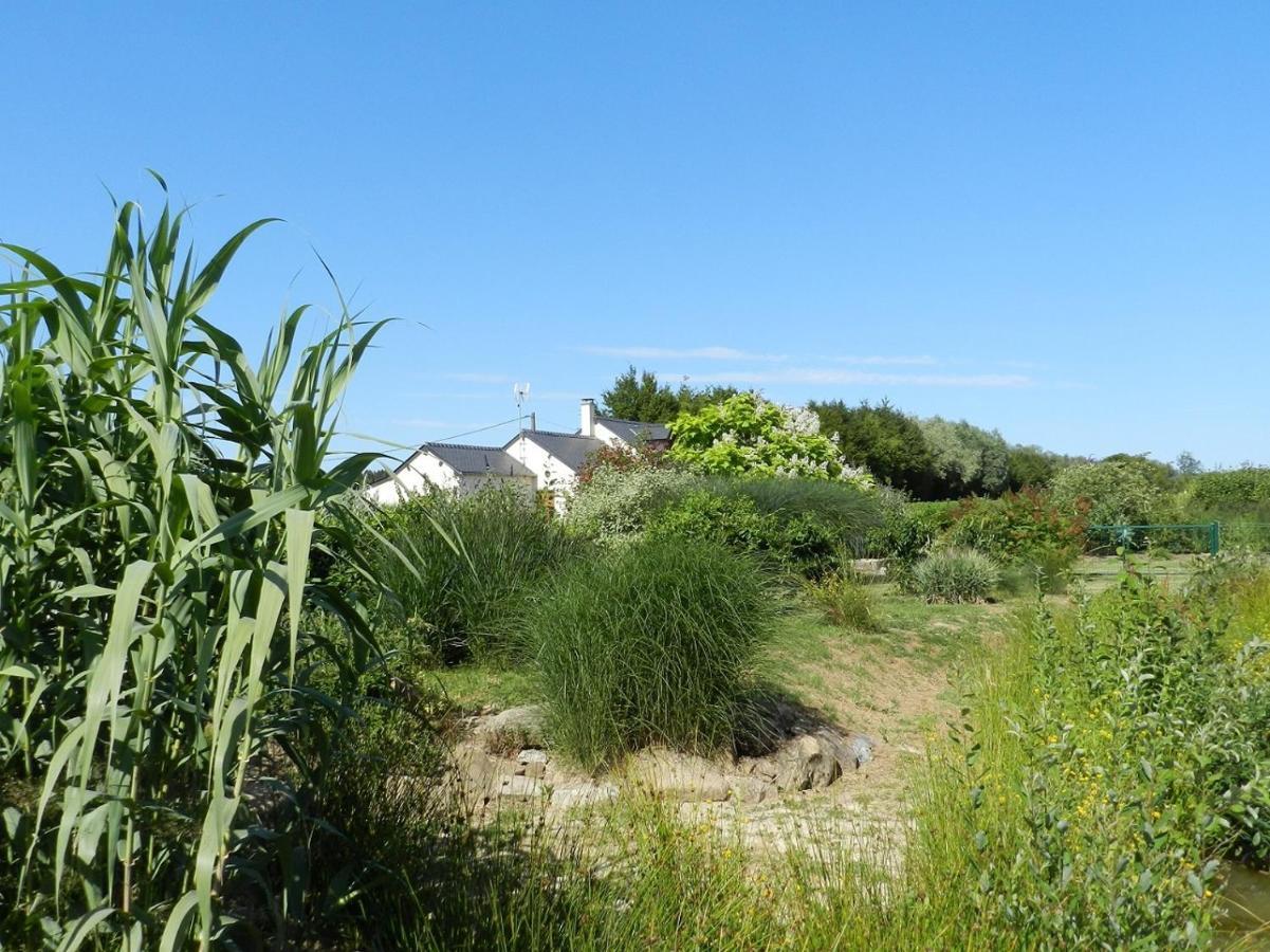Gite La Grenouillere Esqueheries ภายนอก รูปภาพ
