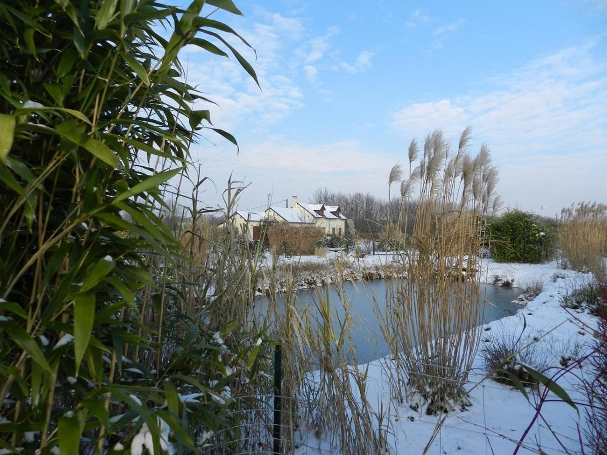 Gite La Grenouillere Esqueheries ภายนอก รูปภาพ